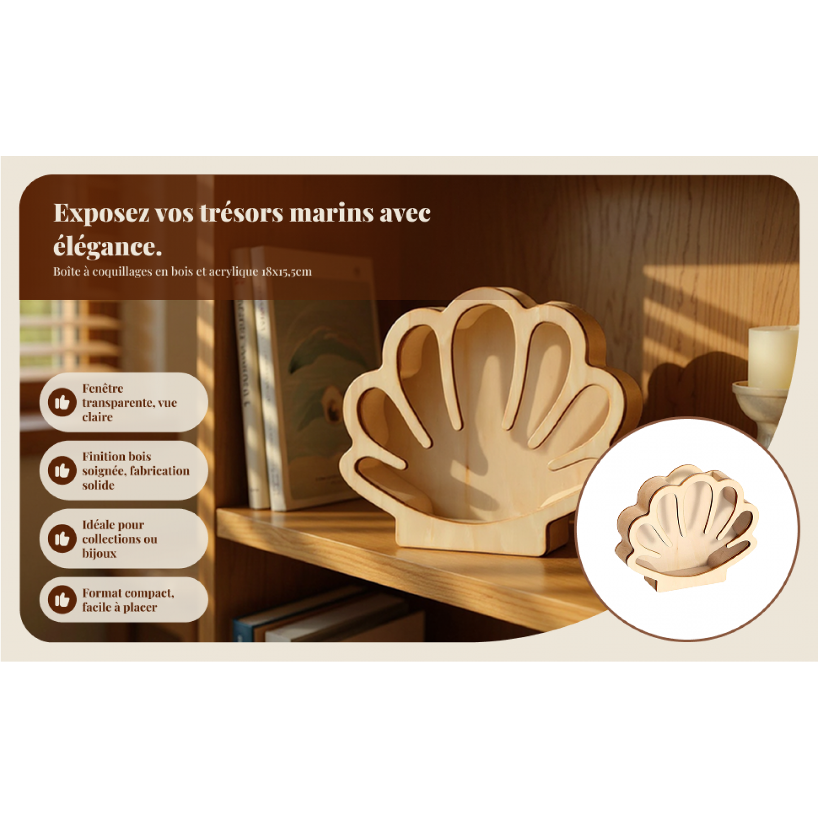 Collectors Coins Jewelry & Watches Of Smithtown Reviews - Wooden Shell Display Box Collector Money